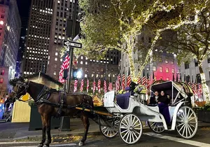 Luxury Horse and Carriage Rockefeller and Christmas lights tour