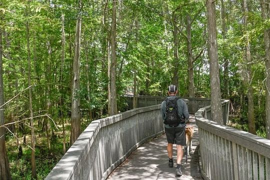 Orlando Wildlife Safari Hike with a Wildlife Photographer