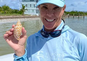 Full Day (6 hours) Sanibel Eco Boat Charter, Gulf and Pine Island