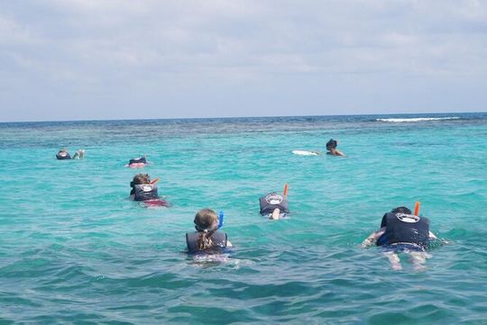 Discover El Cielo and Cozumel Snorkeling Adventure