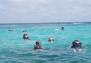 Discover El Cielo and Cozumel Snorkeling Adventure