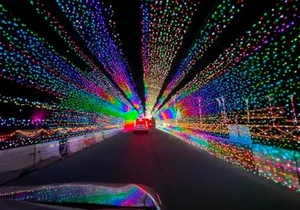 Las Vegas Christmas Light Tour