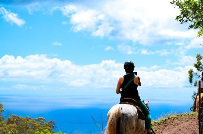 Afternoon Mountain Vista Horseback Trail Ride on Oahu