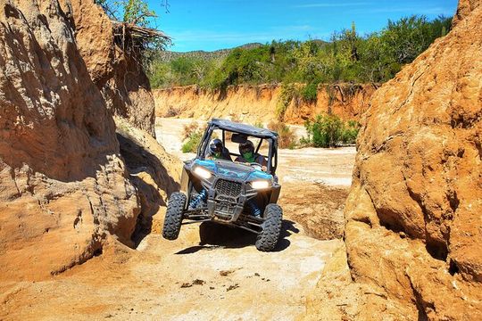 UTV Tour in the Cabo San Lucas Desert + Buffet and Beer