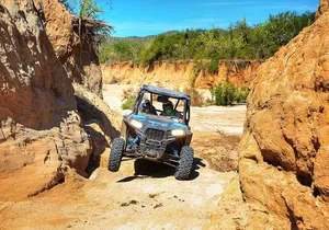 UTV Tour in the Cabo San Lucas Desert + Buffet and Beer
