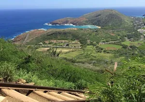 Sunset Crater Hike with Pickup and Drop-off