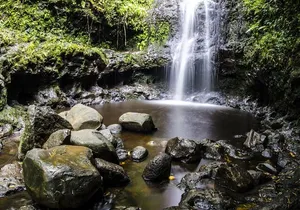 VIP Waimea Falls and Hiking Tour with Limousine Transport