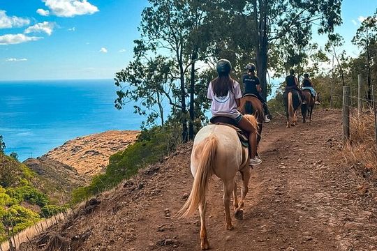 Sunshine Mountain Vista Horseback Trail Ride on Oahu