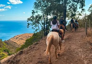 Sunshine Mountain Vista Horseback Trail Ride on Oahu