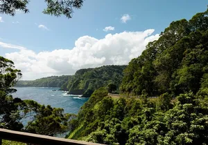 Private Luxury SUV Road to Hana Experience