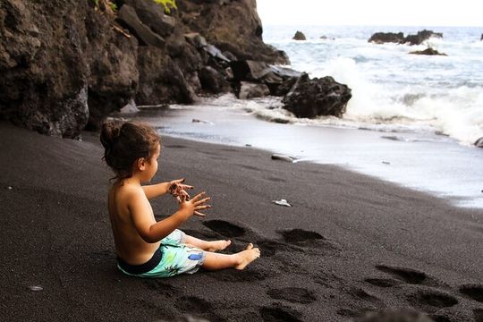 Road To Hana Captured In Photography and Video
