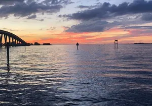 Classic Sunset and Dolphin cruise in Pine Island Sound