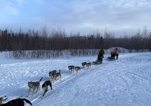 2-Hour Basic Dog Mushing School (without transportation)