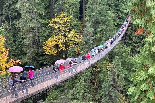 Capilano Suspension Bridge and Grouse Mountain Signature Tour