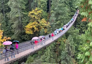 Capilano Suspension Bridge and Grouse Mountain Signature Tour