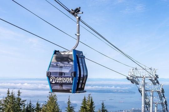 Vancouver Grouse Mountain and Granville Island Tour