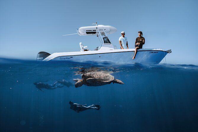 Turtle Canyon Snorkel in Waikiki, Oahu Semi Private
