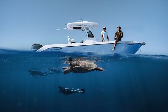 Turtle Canyon Snorkel in Waikiki, Oahu Semi Private