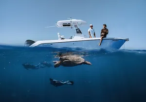 Turtle Canyon Snorkel in Waikiki, Oahu Semi Private