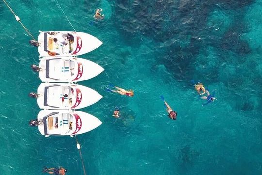 Speedboat tour Snorkeling and Transportation for One Price