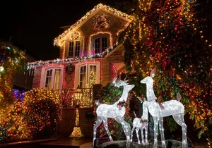 Tour New York City Contrasts and Dyker Heights Lights