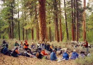 Explore Tahoe Forest Through the Eyes of a Certified Arborist