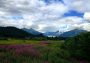 Juneau Shore Fishing and Glacier View Stop