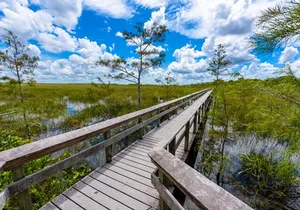 Audio Guided Driving Tour in Everglades National Park