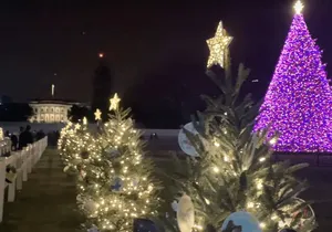 Washington, DC: National Christmas Tree & Holiday Lights Bus Tour