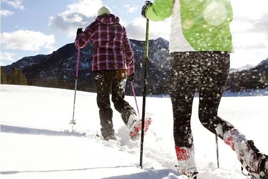 Heavenly Tahoe Snow Shoe Tour With A Local Guide