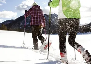 Heavenly Tahoe Snow Shoe Tour With A Local Guide