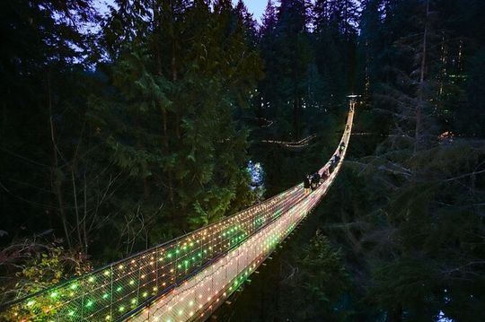 Capilano Suspension Bridge Canyon Lights Tour