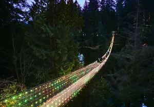 Capilano Suspension Bridge Canyon Lights Tour
