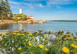 Private Capilano Bridge Grouse Mountain and Lighthouse Day Trip