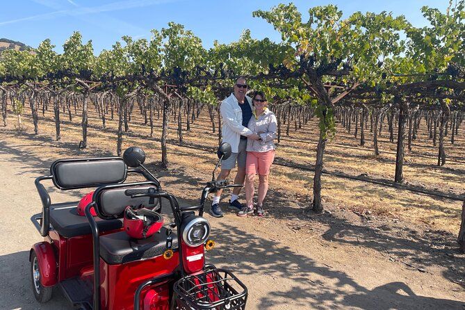 Kenwood Wine Country Electric Trike & Wine Tour - 3 Hours