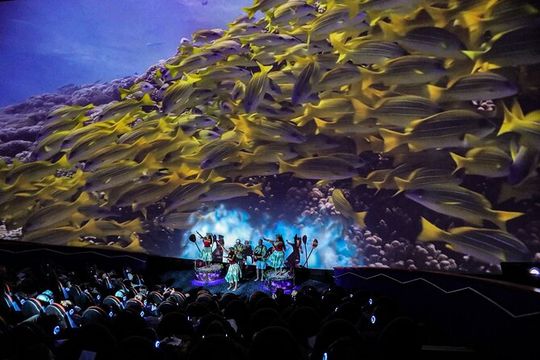 Mele The Hawaiian Music Experience