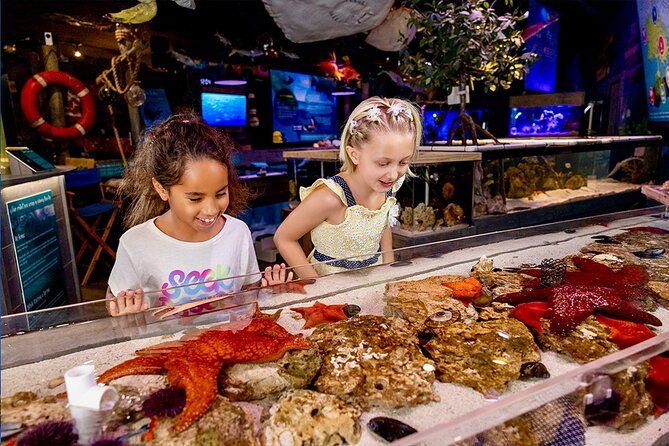 Mertailor's Mermaid Aquarium Encounter-Minutes from Crystal River