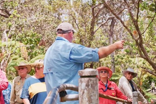 Volcanoes, Beaches and Waterfall Highlights Private Guided Tour