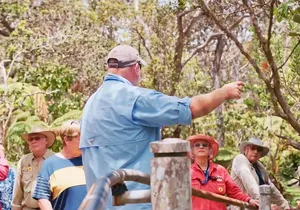 Volcanoes, Beaches and Waterfall Highlights Private Guided Tour