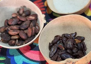 Chocolate Tasting and Crafting Workshop in Cabo San Lucas