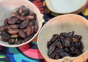 Chocolate Tasting and Crafting Workshop in Cabo San Lucas