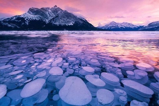 Winter Abraham Bubble Lake and Icefield Parkway