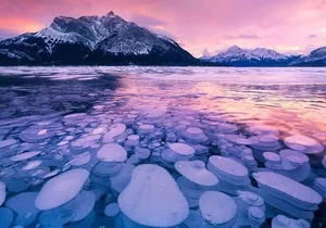 Winter Abraham Bubble Lake and Icefield Parkway