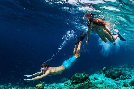 Key West Day Trip and Snorkeling Adventure from Miami