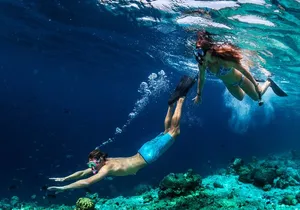 Key West Day Trip and Snorkeling Adventure from Miami