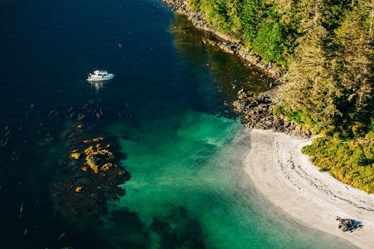 Sitka: Islands of Wonder Wildlife Boat Adventure (4 hours)