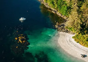 Sitka: Islands of Wonder Wildlife Boat Adventure (4 hours)