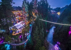 Capilano Canyon Lights Evening Tour Christmas Magic Awaits