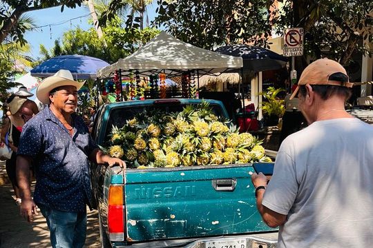 Sayulita and San Pancho Day Trip from Puerto Vallarta