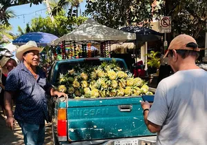 Sayulita and San Pancho Day Trip from Puerto Vallarta